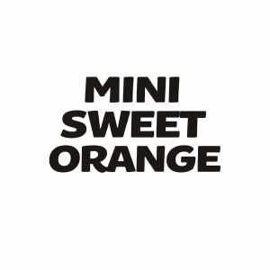 ChatGPT Image Jan 8, 2026, 06_12_12 PM MINI SWEET ORANGE