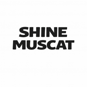 ChatGPT Image Jan 8, 2026, 06_27_02 PM SHINE MUSCAT