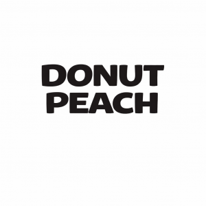 ChatGPT Image Jan 8, 2026, 06_31_20 PM DONUT PEACH