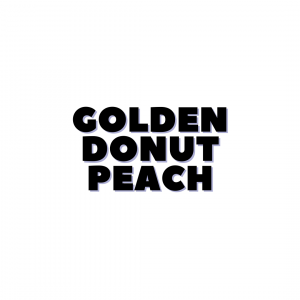 Copy of PBAKL25 A3 POSTER (12) GOLDEN DONUT PEACH