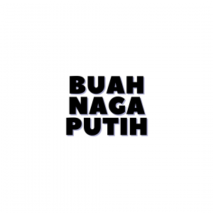 BUAH NAGA PUTIH