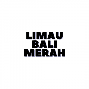 Copy of PBAKL25 A3 POSTER (16) LIMAU BALI MERAH