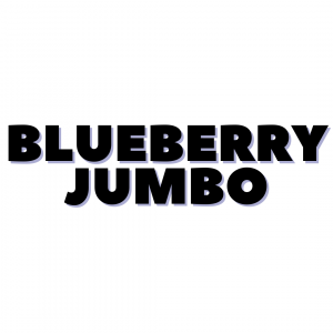 BLUEBERRY JUMBO 125G/PACK