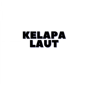 KELAPA LAUT